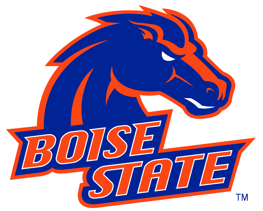 Boise State Broncos 2002-2012 Alternate Logo diy iron on heat transfer...
